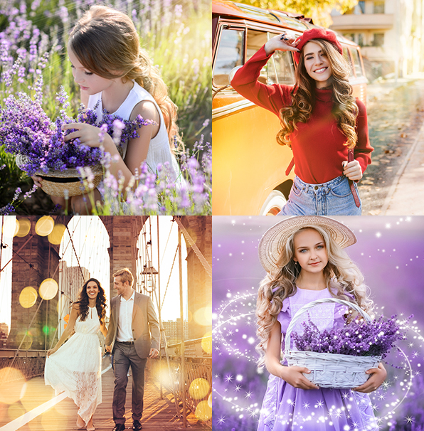 entire collection lightroom presets